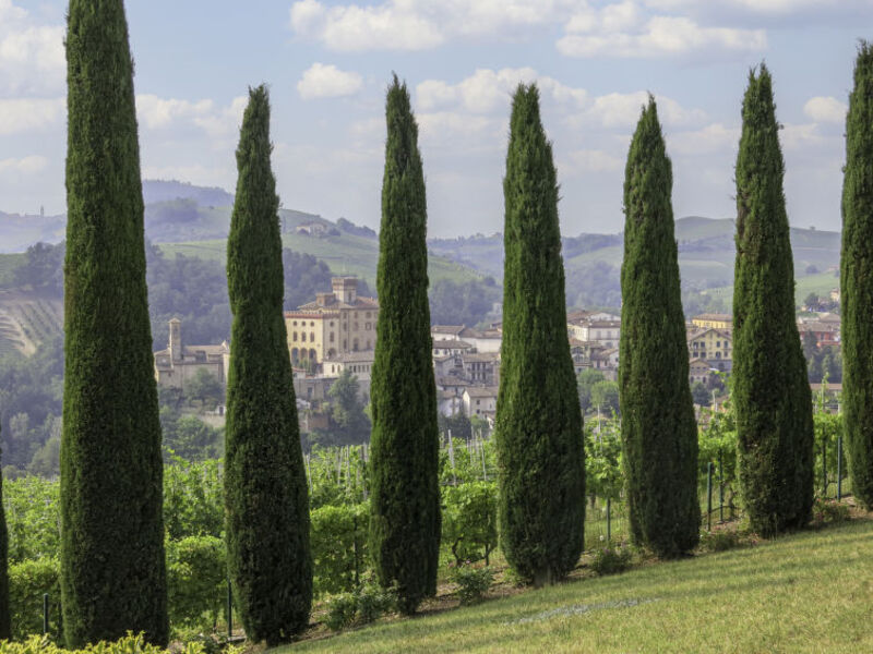 Casa Baroncelli