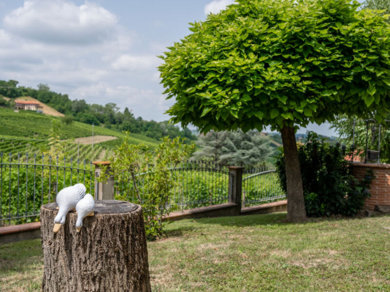 Casa Culla Di Stelle