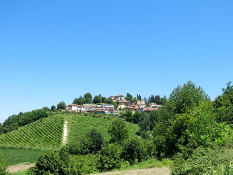 Tenuta Il Pozzo Fiorito