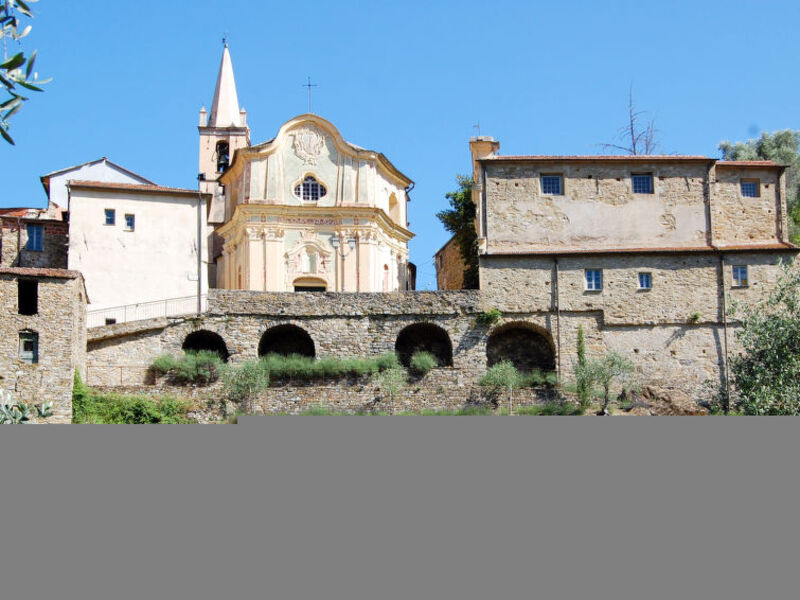 Geranio - Agr. Torre Dei Paponi