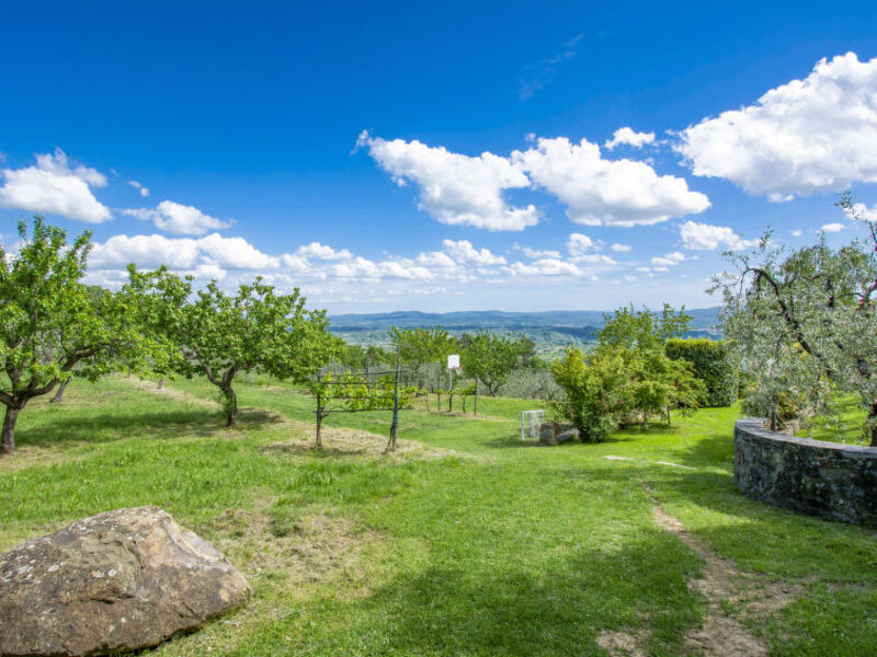 Podere Il Casellino