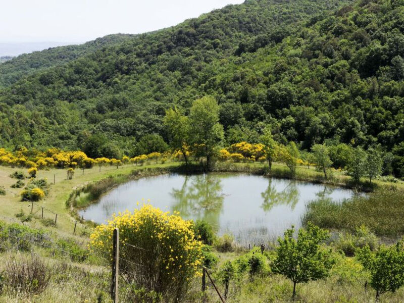 La Grotta Dell'Eremita