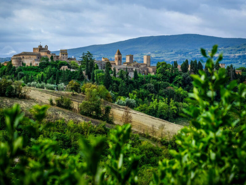 Podere La Torre