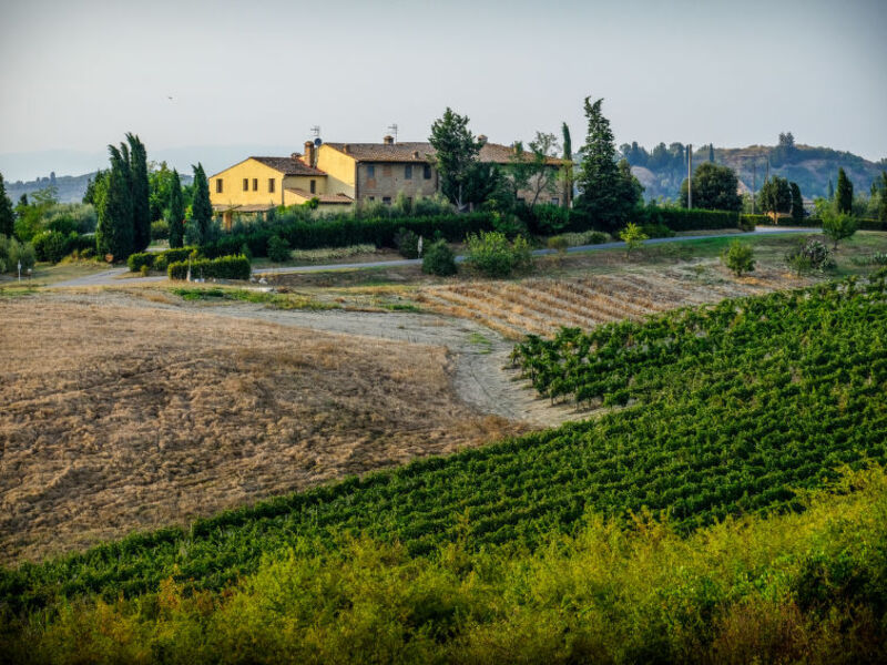 Podere La Torre