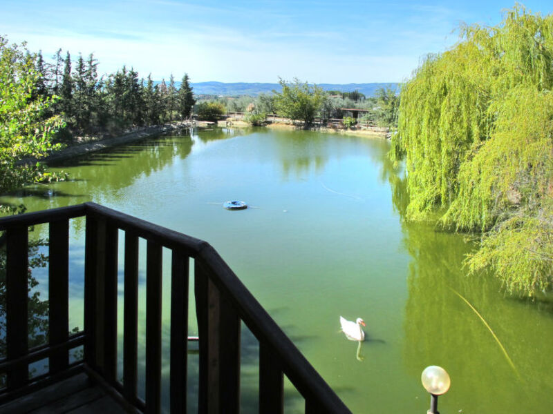 Azienda Agricola Cameli