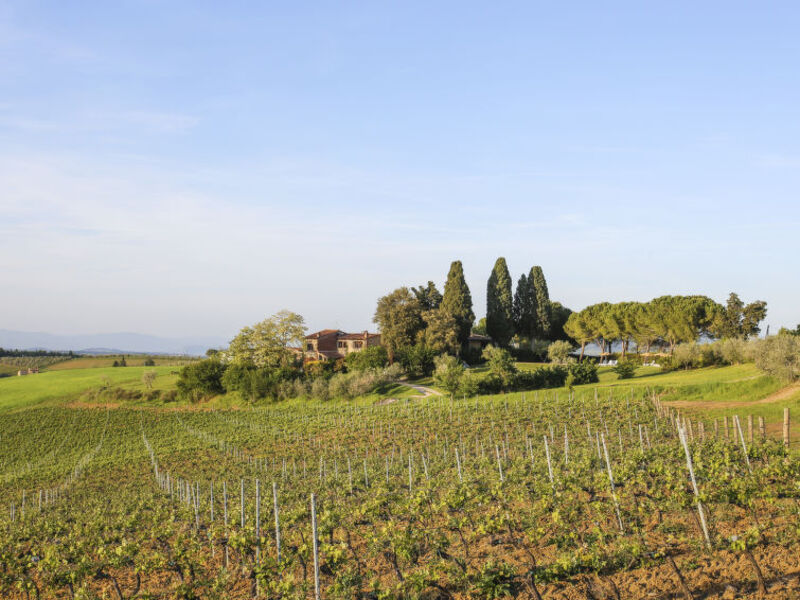 Podere Campiglia