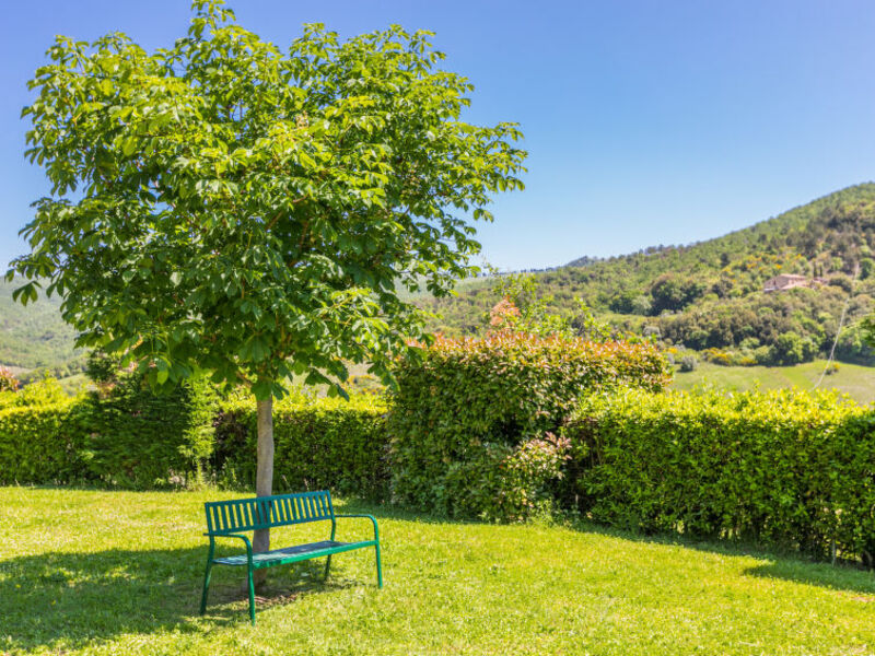 Podere Cafaggiolo