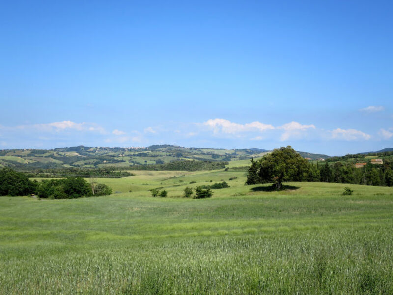 Podere Il Sorbo