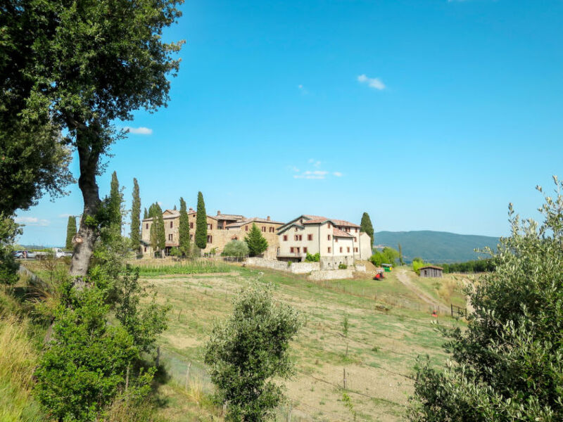 Fattoria Il Santo