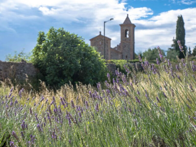 Bel Giardino