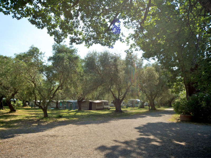 Camping Village Il Fontino