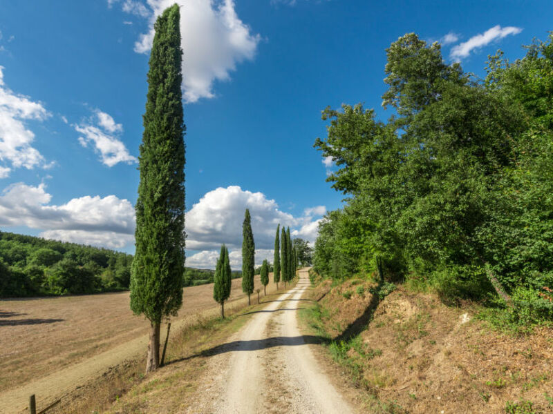 Casale Poggio Lupinaio