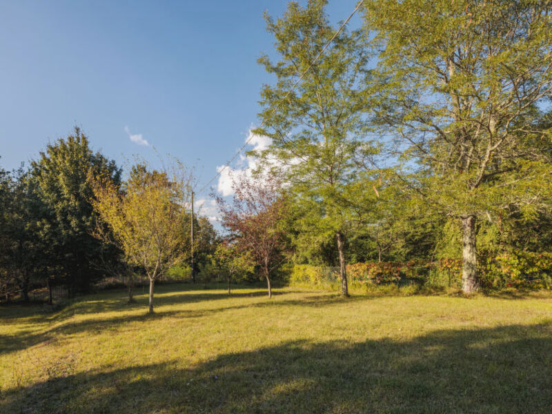 Casa Grande Quercia