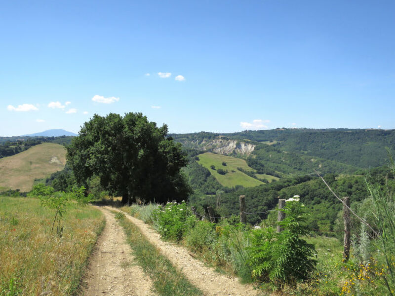 Podere Poggiolo