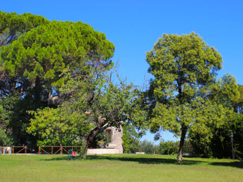 Torretta Serviana