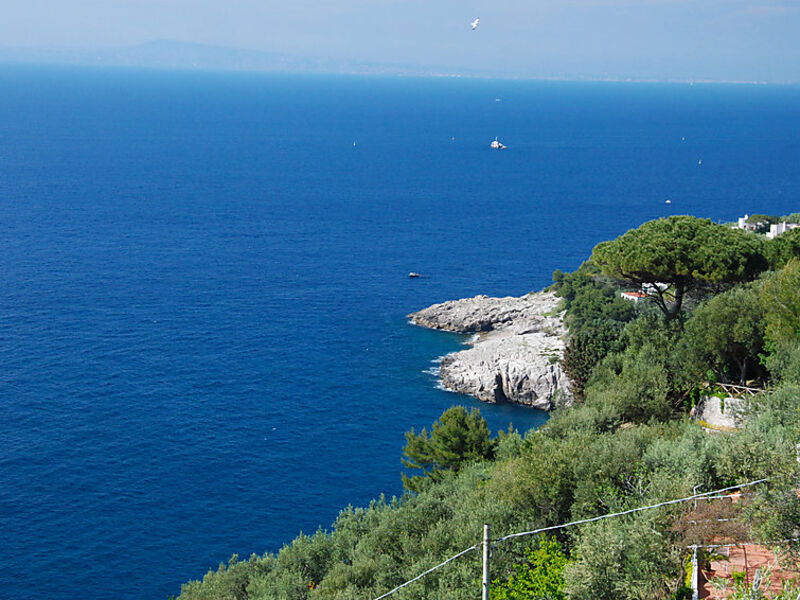 Don Luigino - Capri View