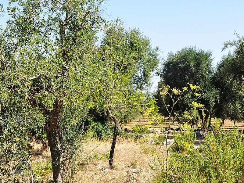 Trullo Selva