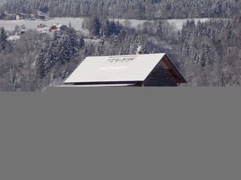 Steiners Blockhütte