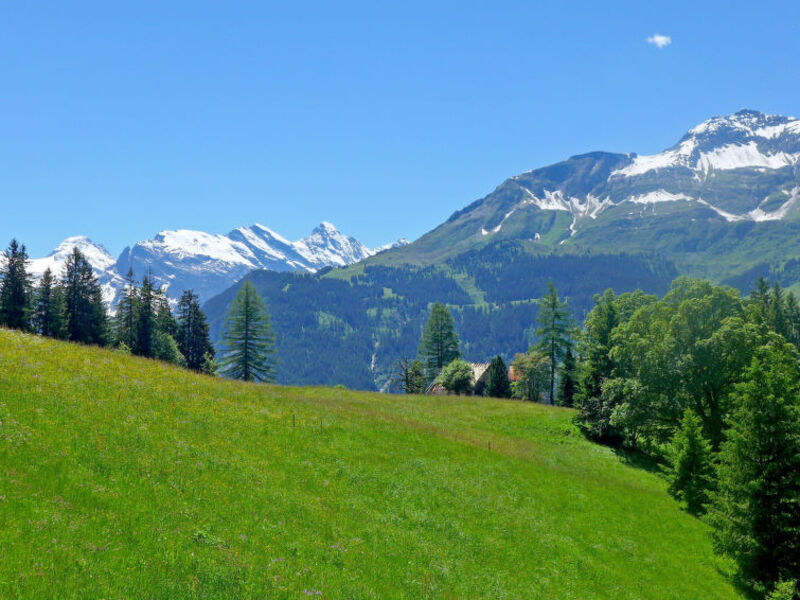 Tschingelhorn