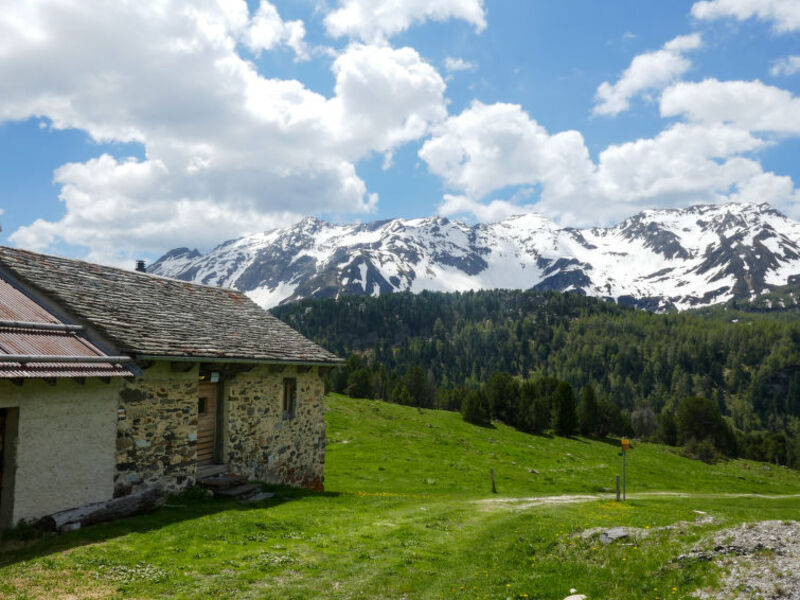 Rustico Dolomia