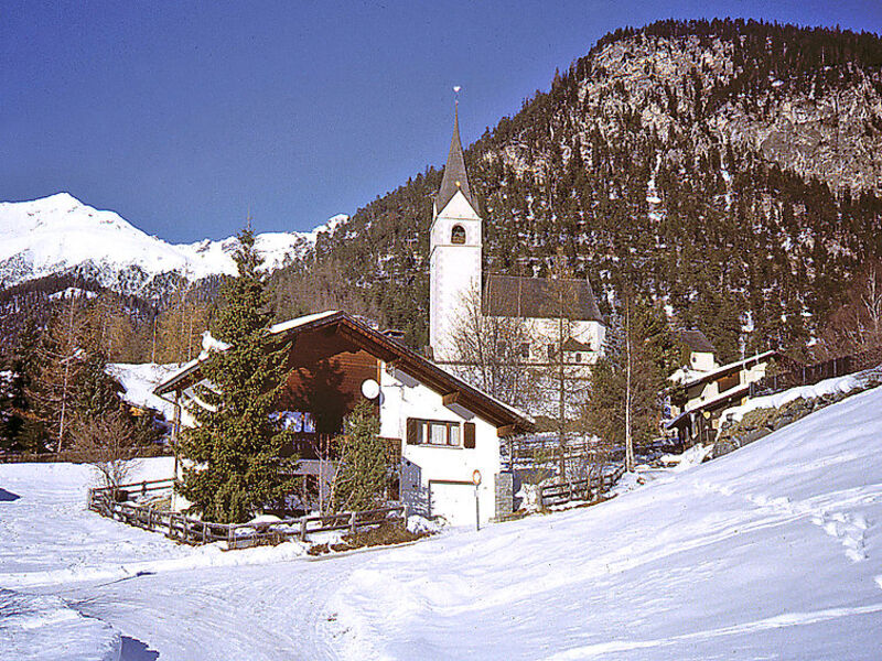 Albula