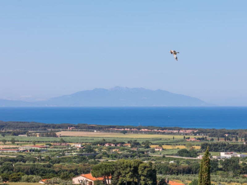 Agriturismo Il Corbezzolo