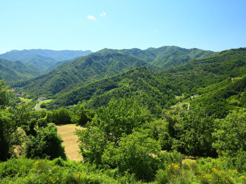 Azienda Agricola Piano Rosso