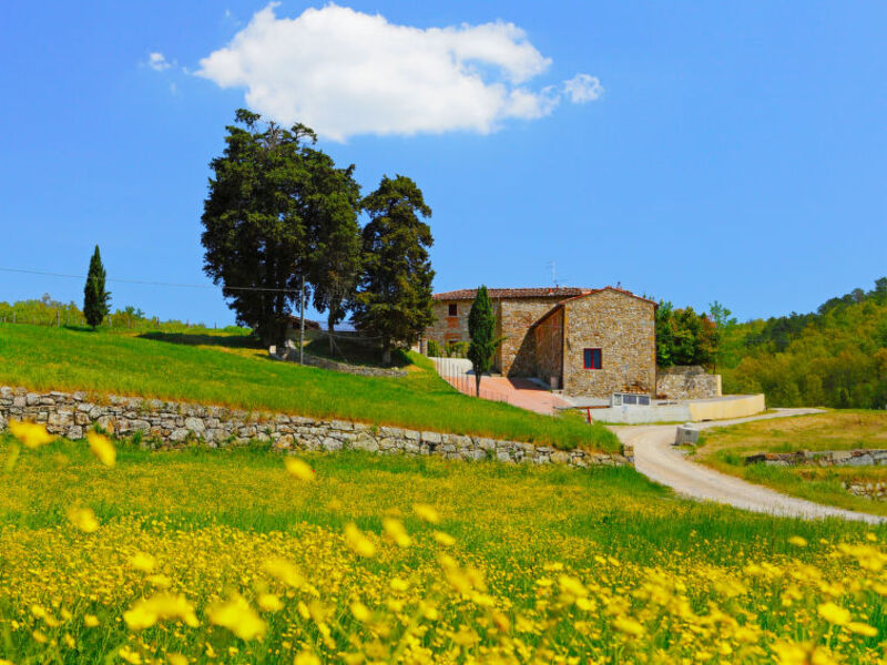 Locazione Turistica Selvapiana