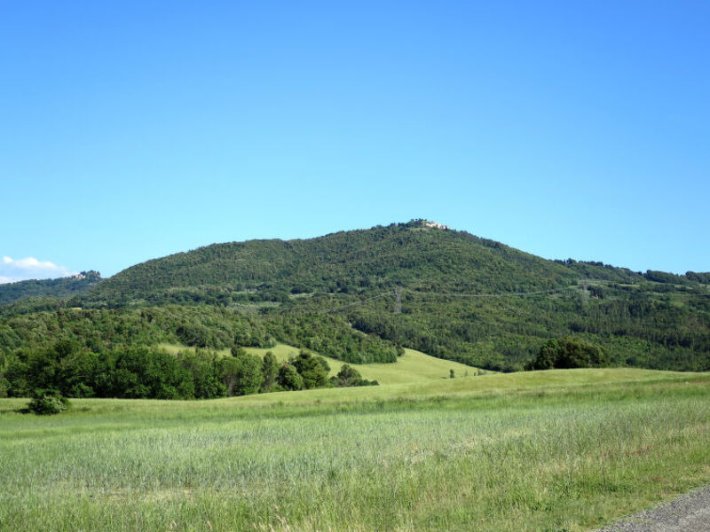 Podere Il Sorbo