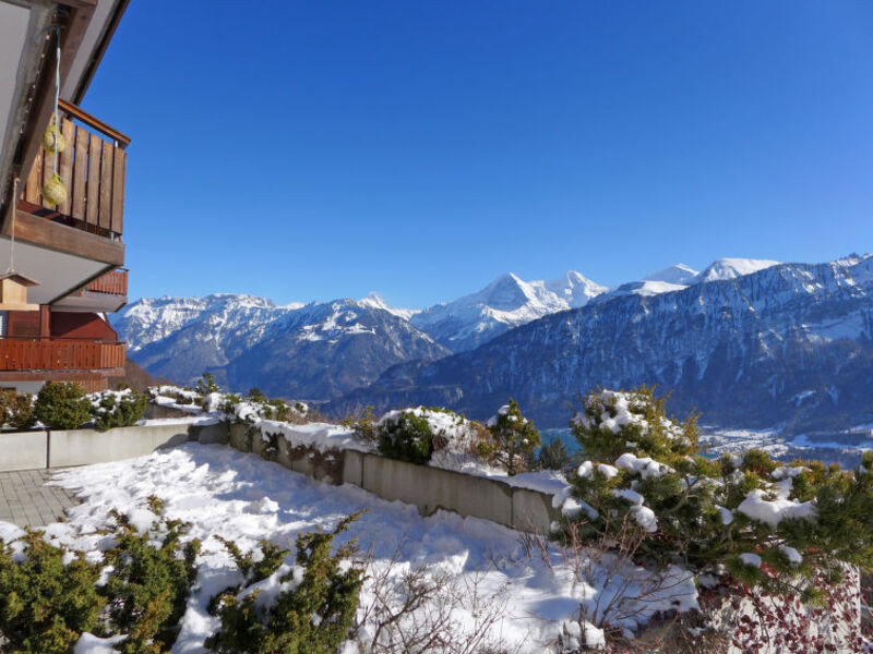 Berg-Seeblick