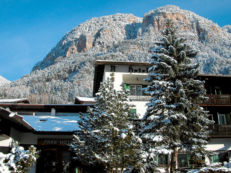 Park Hotel Regina delle Dolomiti