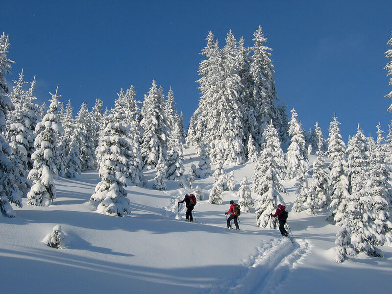 Alpin Resort Erzberg  se skipasem