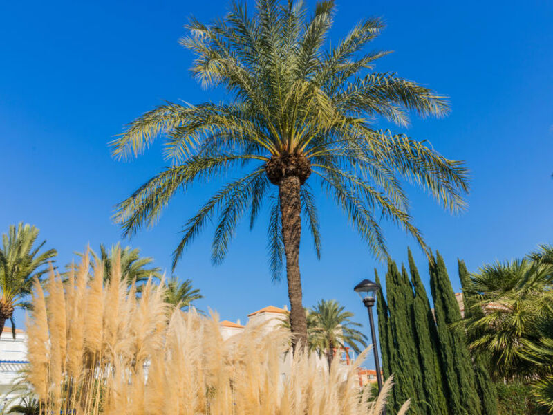 Cala Blanca Denia