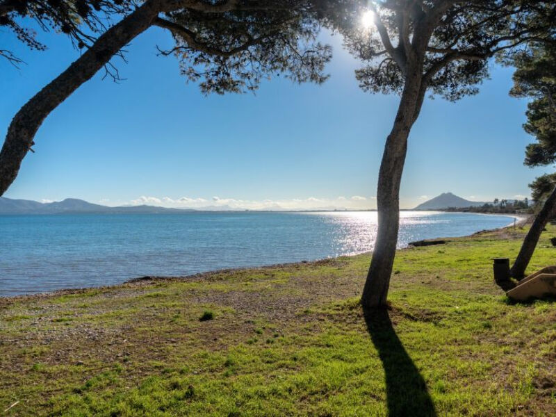 Oratge Beach Views