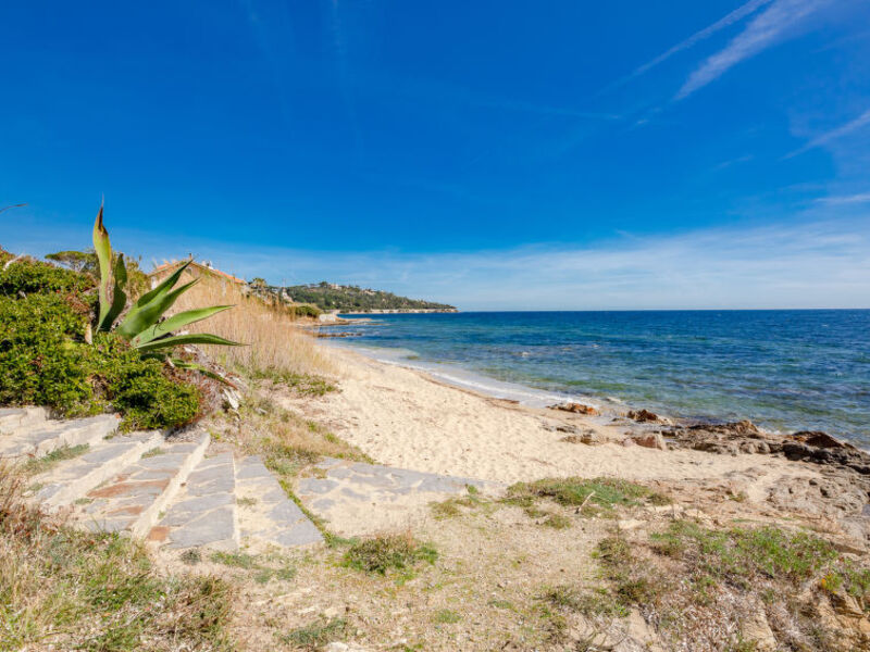 Terra Cotta Beach Front