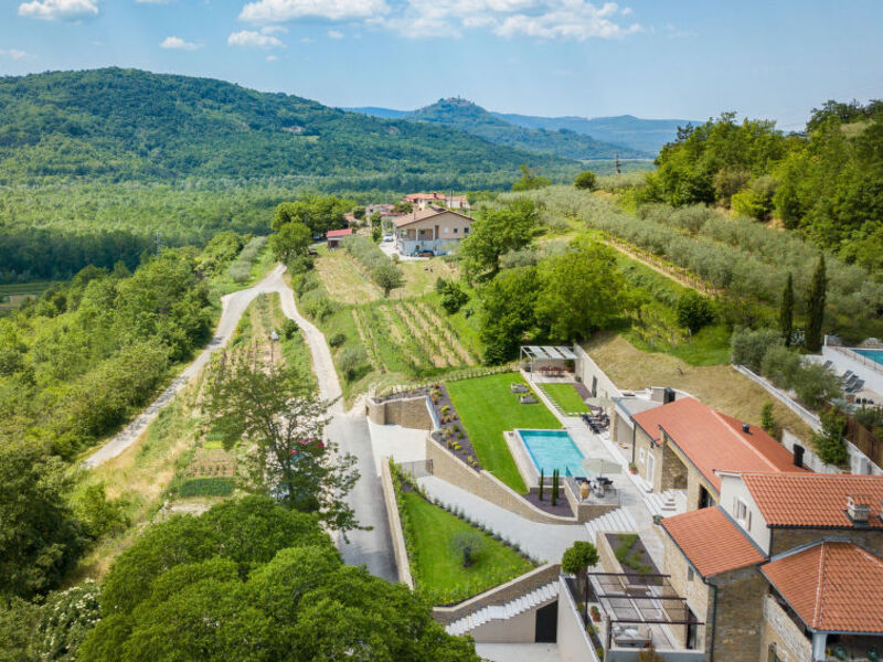 Panorama del Tartufo