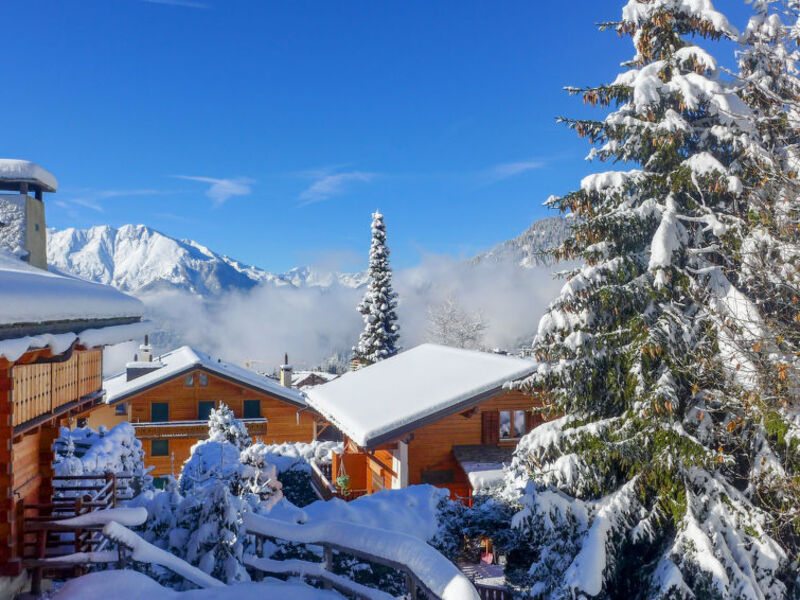 Boule De Neige