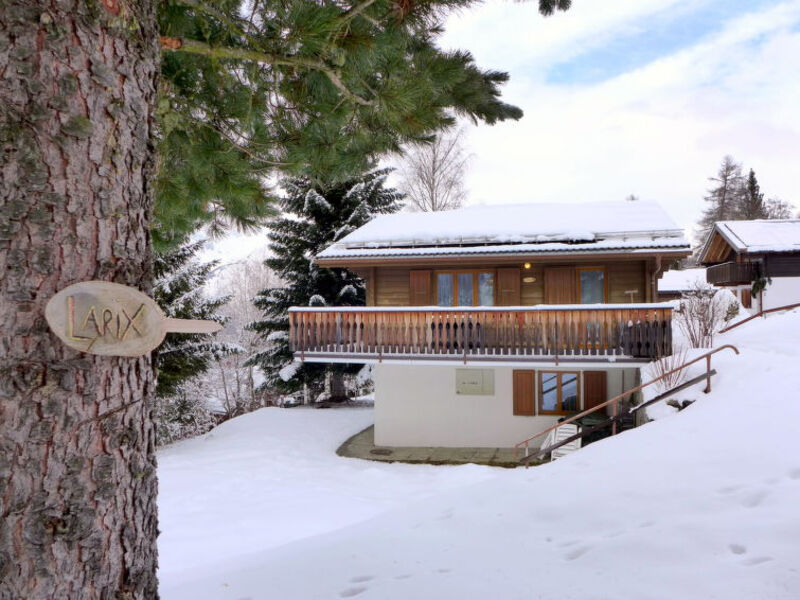 Chalet Larix