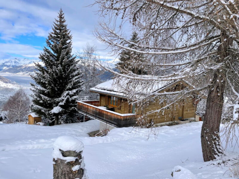 Chalet Larix