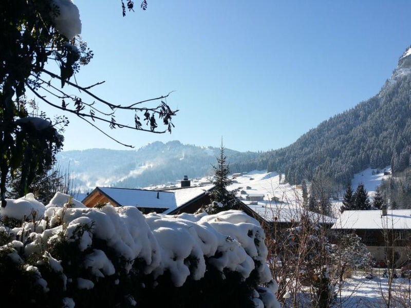 Chalet Flöschhorn