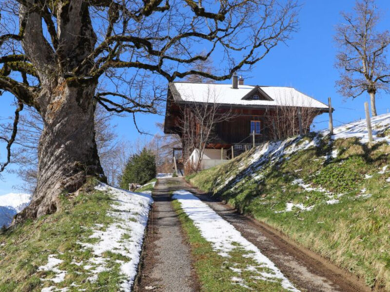 Chalet Ahorni