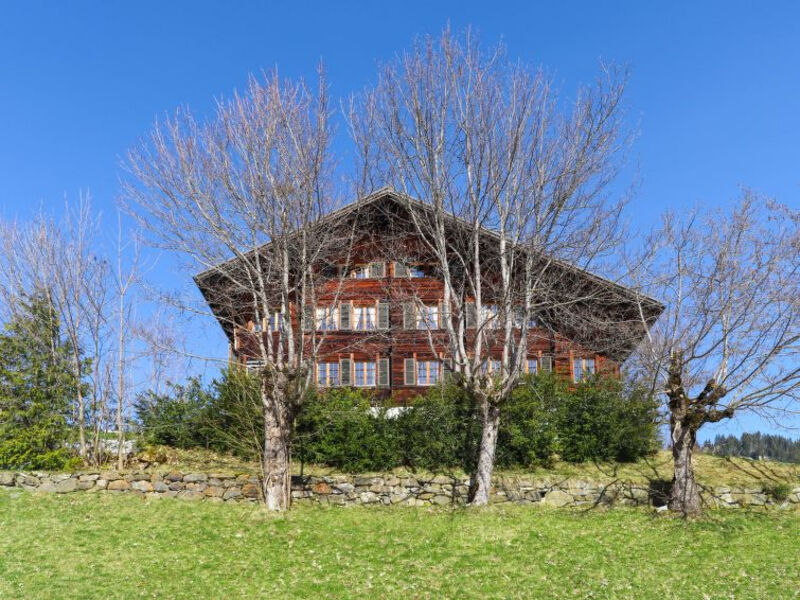 Chalet Ahorni