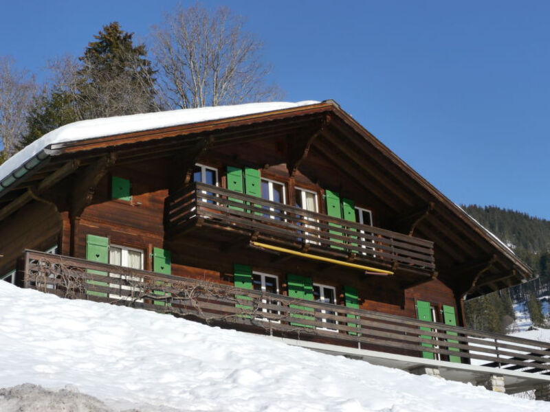 Chalet Pitschun