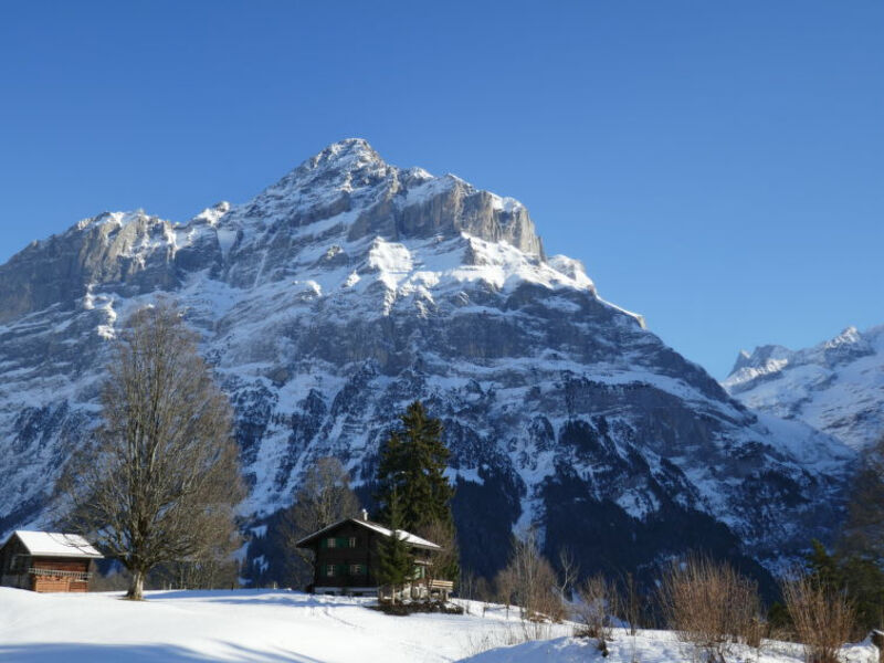 Chalet Grindelwaldgletscher