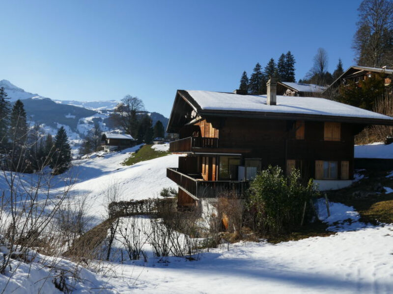 Chalet Grindelwaldgletscher