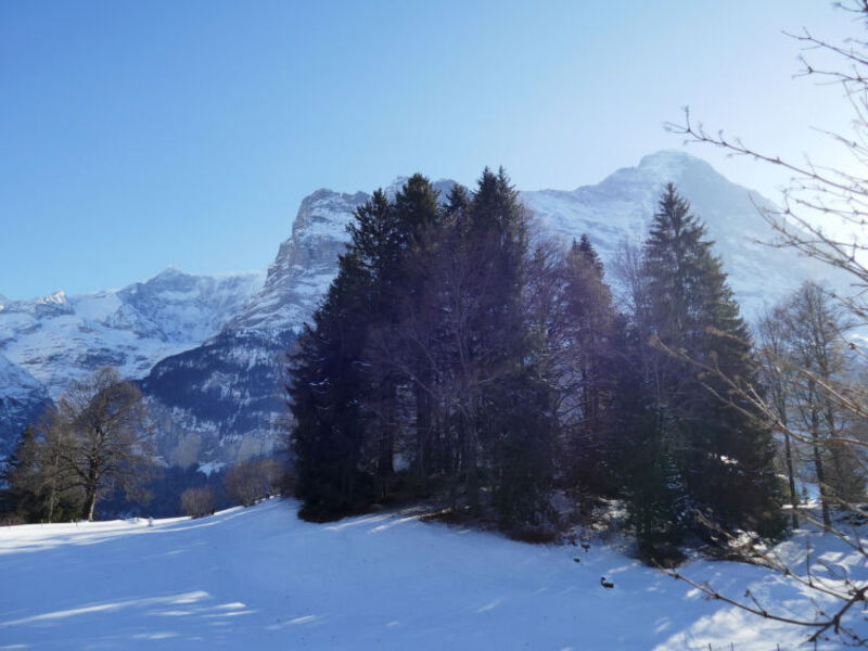 Chalet Grindelwaldgletscher