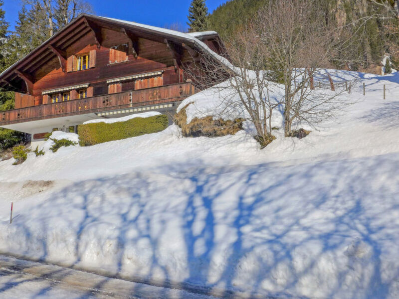 Chalet Hobelbank