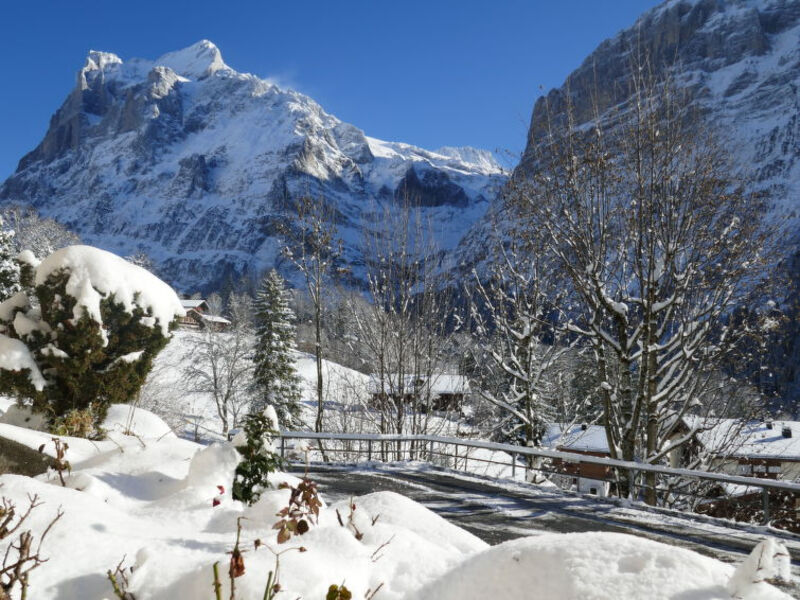 Chalet Zur Höhe