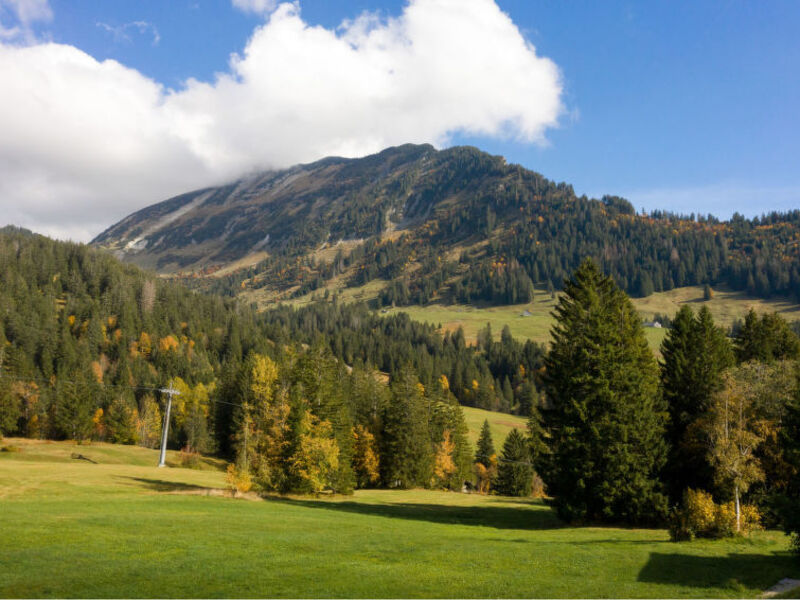 Ferienhaus Bergblick