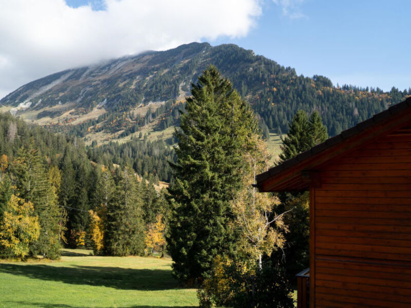 Ferienhaus Bergblick